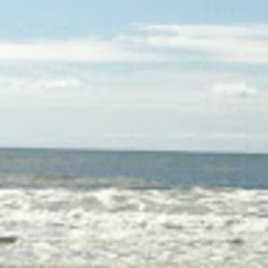 Meet your Posher, Leigh ann